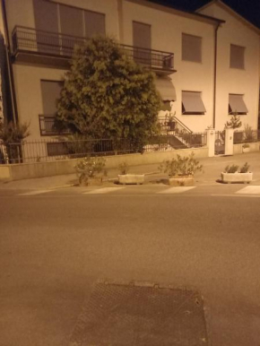 Camping verde